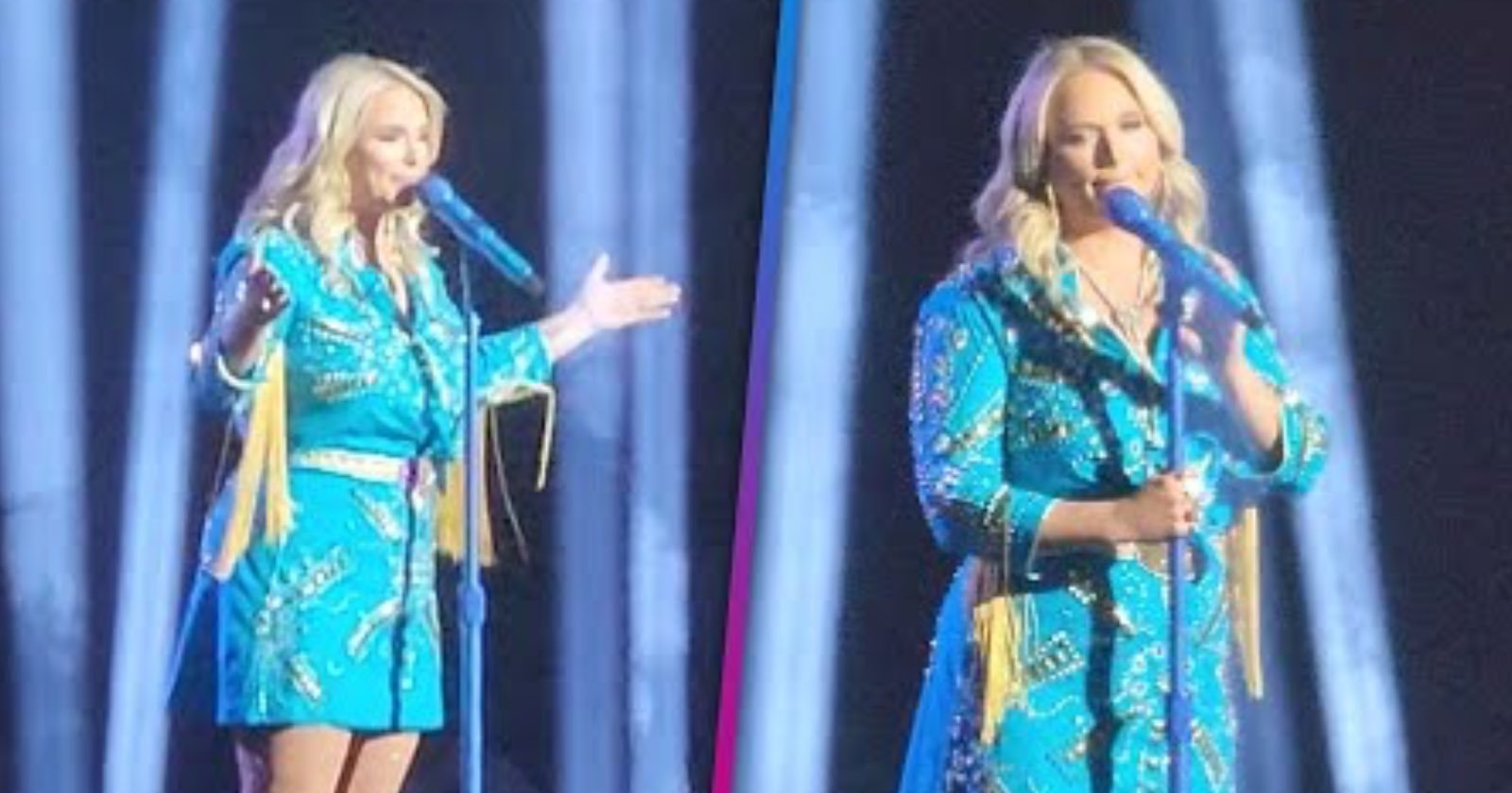 Miranda Lambert Sparks Debate After Stopping Concert to Call Out Selfie